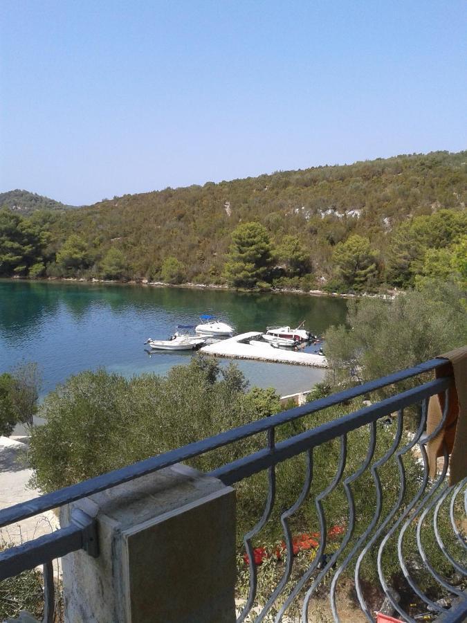 Luka  Apartmani Topolovec מראה חיצוני תמונה